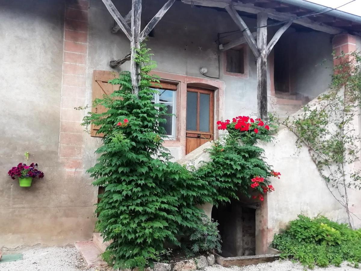 La Maison Moja Prety Ngoại thất bức ảnh
